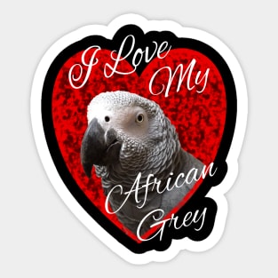I Love My African Grey Parrot Sticker